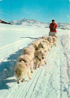 Chiens - CPM - Voir Scans Recto-Verso - Cani