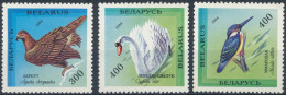 1994 43 Belarus Belarussian Rare Birds Of Belarus MNH - Belarus
