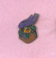 Rare Pins Marche Du Plessis Robinson Zamac P527 - Cities