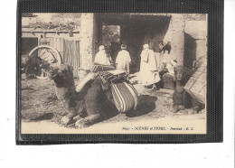 Afrique-Algerie-Scénes Et Types -Une Vue Aniimée De CHAMEAUX Se Reposant Au " FONDOUK "Remise - Szenen