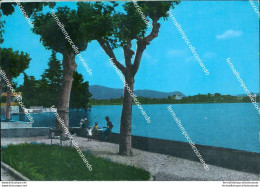 Cc481 Cartolina Erba Lago Di Pusiano Provincia Di Como Lombardia - Como