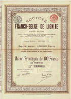 - Titre De 1910 - Société Franco-Belge De Lignite  - - Mines