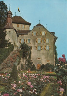 1 AK Schweiz / Switzerland * Schloss Heidegg Und Der Rosengarten * - Gelfingen