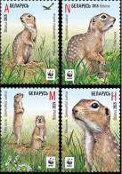 2015 1086 Belarus WWF - Speckled Ground Squirrel MNH - Belarus