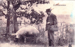 24 - En PERIGORD (Dordogne) - Groupe Sympathique Cherchant La Truffe - Cochon  - Autres & Non Classés