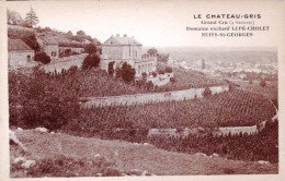 21 -  NUITS SAINT GEORGES - Le Chateau Gris - Grand Cru - Nuits Saint Georges