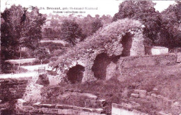 18 - Cher -  DREVANT Pres St Amand Montrond - Ruines Gallo Romaines - Autres & Non Classés