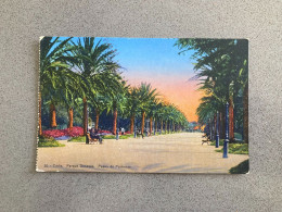Cadiz Parque Genoves Paseo De Palmeras Carte Postale Postcard - Cádiz