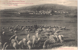 FR11 PRADELLE CABARDES - Labouche 196 - Le Plateau - Les Pâturages - Berger Et Troupeau De Moutons - Animée - Belle - Autres & Non Classés