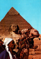 CPM - GIZA - Chamelier Devant La Pyramide Et Le Sphinx  ... - Gizeh