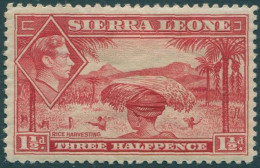 Sierra Leone 1938 SG190 1½d Rice Harvesting KGVI MH - Sierra Leona (1961-...)