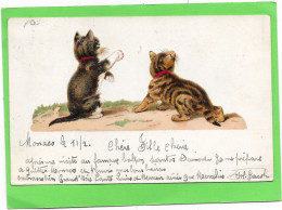 CHATS - Gaufrée  Deux Chatons - Cats