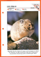 PIKAS Animal Mammifère  Illustrée Documentée Animaux Mammifères Fiche Dépliante - Animaux