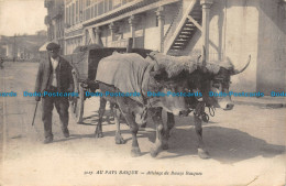 R159617 Au Pays Basque. Attelage De Boeufs Basques. 1921 - Monde