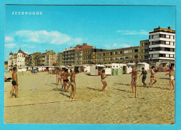 * Zeebrugge (Kust - Littoral) * (Uitgever Van Mieghem A.) Strand En Zeedijk, Digue Et Plage, Volleybal, Beach - Zeebrugge