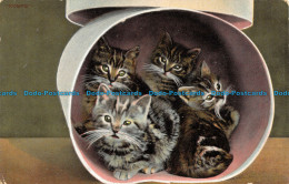 R159183 Old Postcard. Romps. Kittens. B. And D. Kromo - Monde