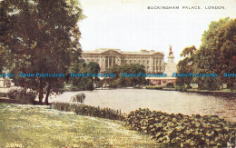 R159625 Buckingham Palace. London. Valentine. Valesque - Other & Unclassified
