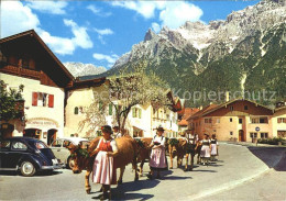 71994473 Mittenwald Bayern Almabtrieb Festschmuck Kuehe Karwendelgebirge Mittenw - Mittenwald