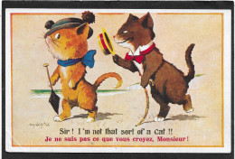 CHATS - Humour - Mac Gill - Je Ne Suis Pas Ce Que Vous Croyez, Monsieur - Katzen