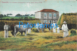 229675 SPAIN ESPAÑA TENERIFE LOS RODEOS COSTUMES CAMPESINOS EN LA FAENA DE LA TRILLA POSTAL POSTCARD - Autres & Non Classés