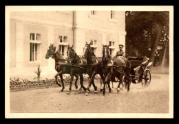 POLOGNE - VARSOVIE - SECTION DES EXPORTATEURS DE CHEVAUX - UN ATTELAGE A QUATRE - Pologne