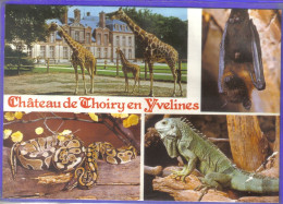 Carte Postale 78. Thoiry  Le ZOO Du Chateau   Très Beau Plan - Thoiry