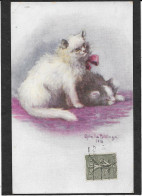 CHATS - Deux Chats De Perse - Ophelia Billinge - Cats