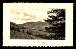 88 - LES VOSGES - PAYSAGE - Autres & Non Classés