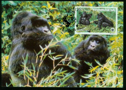 Mk Rwanda Maximum Card 1985 MiNr 1293 | Endangered Species. Mountain Gorillas. Two Gorillas In Tree. WWF #max-0132 - 1980-1989