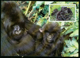 Mk Rwanda Maximum Card 1985 MiNr 1294 | Endangered Species. Mountain Gorillas. Gorilla Family. WWF #max-0133 - 1980-1989