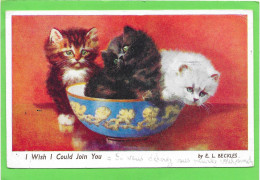 CHATS - Trois Chatons Dans Un Bol - E.L BECKLES - Cats