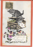 CHATS - Deux Chatons, Corbeille, Lettre, Pensées - Chats