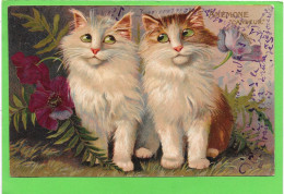 CHATS - Deux Chats - Anémone - Illustration De BOULANGER - Cats