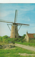 ZUIDZANDE DE MOLEN Beltmolen Korenmolen  1874 - Autres & Non Classés