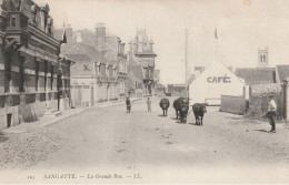 SANGATTE : La Grande Rue.  (vaches Migrantes !) - Sangatte