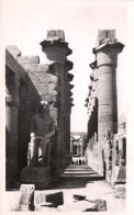 CPA - LOUXOR - Temple - Quatre Des Colonnades D'Amenhotep III - Edition Gaddin - Luxor