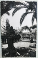 CPSM CASABLANCA (Maroc) Palais Impérial, Vue Du Jardin, Extérieur - Casablanca