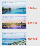 China Stamp MNH 2024-9 Chaohu Stamp - Nuovi