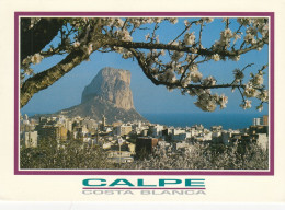 Espagne Calpe Costa Delsol - Other & Unclassified