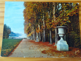 78 - Chateau De VERSAILLES  - Le Tapis Vert Et Le Bassin D'Apollon - Versailles (Château)