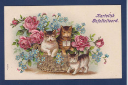 CPA Chat Gaufrée Embossed Cat Circulée - Cats