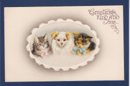 CPA Chat Gaufrée Embossed Cat Non Circulée Chien Dog - Chats