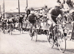 Photo Originale  - Cyclisme- VAN LOOY - Championnat Du Monde A Salo 1962  - Format 17.5 X 13.0 Cm - Cyclisme