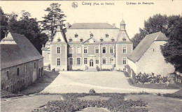 CINEY - Chateau De Masogne - Ciney