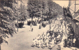 HOOGSTRAETEN - HOOGSTRATEN -  Heilig Bloed Processie 1921 - Procession Du St Sang 1921 - Hoogstraten