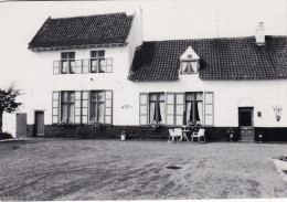  KNESSELARE  -  Blauwgoedhoeve ( Ursel )  - Knesselare