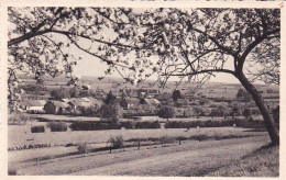 Florenville -  LAICHE CHASSEPIERRE Vue Du Haut Des Himans - Florenville