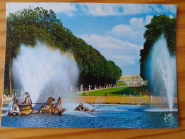 78 - Chateau De VERSAILLES  - Les Grandes Eaux Au Bassin D'Apollon - Versailles (Château)