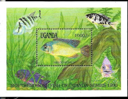 Uganda (Ouganda) - 1990 - Fishes - Yv Bf 125 - Fishes