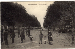 Montpellier L'esplanade - Montpellier